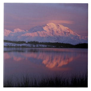 Carreau NA, États-Unis, Alaska. Parc national Denali. Mont