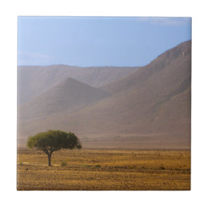 Carreau Namibie Afrique Désert Paysage Nature