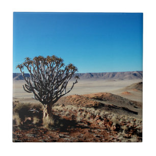 Carreau Namibie Tirool Namib Désert Paysage Kokerboom