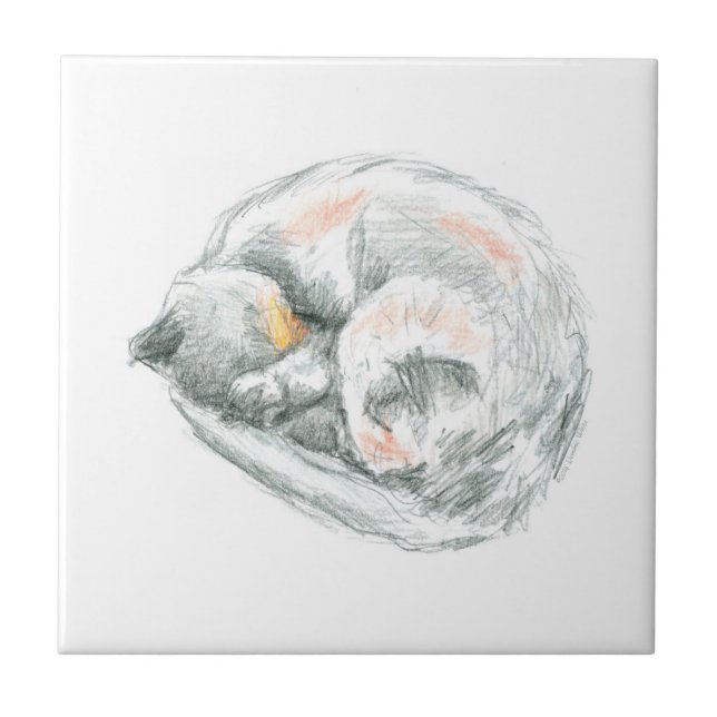 Carreau Nap de chat (Devant)