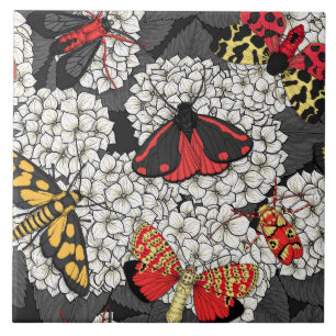 Carreau Nappes phréatiques sur hydrangée blanche