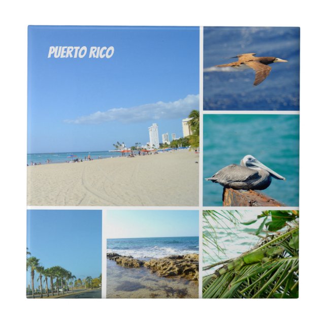 Carreau Nature collage of San Juan, Porto Rico (Devant)