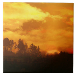 CARREAU NATURE MATIN SOLEIL LEVANT 