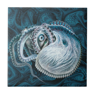 Carreau Nautilus Argonaut de calmar à poulpe vintage