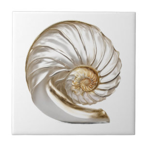 Carreau Nautilus perle de coquillage 3D plage mer nautique