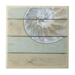 Carreau Nautilus Shell