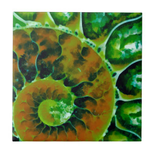Carreau Nautilus vert