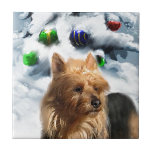 Carreau Noël australien Terrier (Devant)