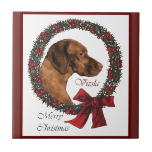 Carreau Noël de Vizsla