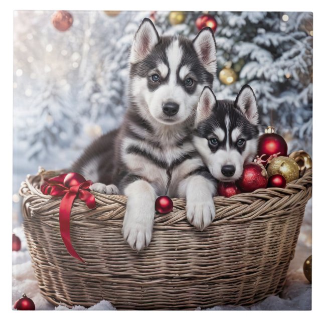 Carreau Noël Vacances Husky Chiens de Chiens de Chiens de  (Devant)