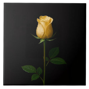 Carreau Noir 4 Luxe avec Rose Jaune Ensoleillée