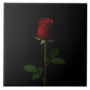 Carreau Noir 4 Luxe avec Rose Rouge Velours