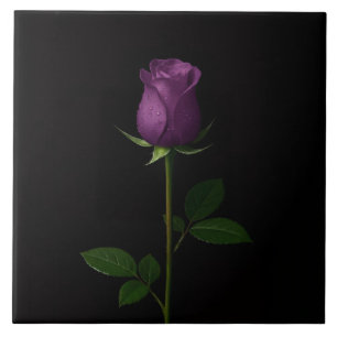 Carreau Noir 4 Luxe avec Rose Violette Royale
