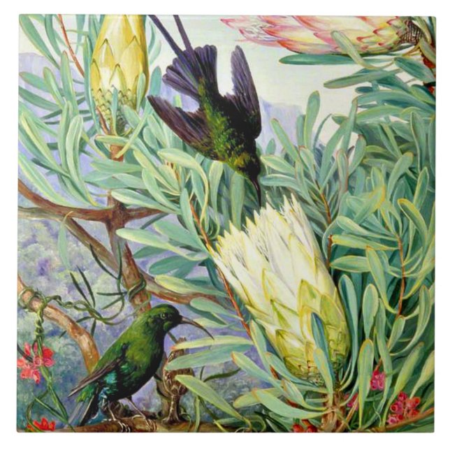Carreau Nord - Fleurs de miel et suceurs de miel  (Devant)