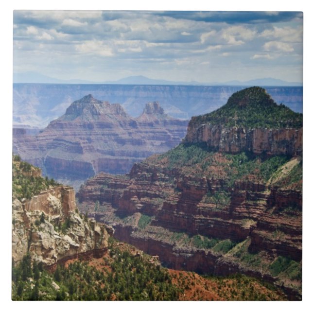 Carreau North Rim Gran Canyon - Grand Canyon National (Devant)