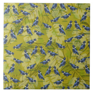 Carreau Nouvelle-Zélande / motif d'oiseaux d'Aotearoa