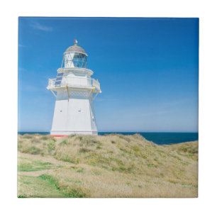 Carreau Nouvelle-Zélande, South Island, Catlins, Waipapa