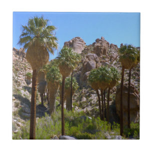 Carreau Oasis Lost Palms I dans le Parc national de Joshua