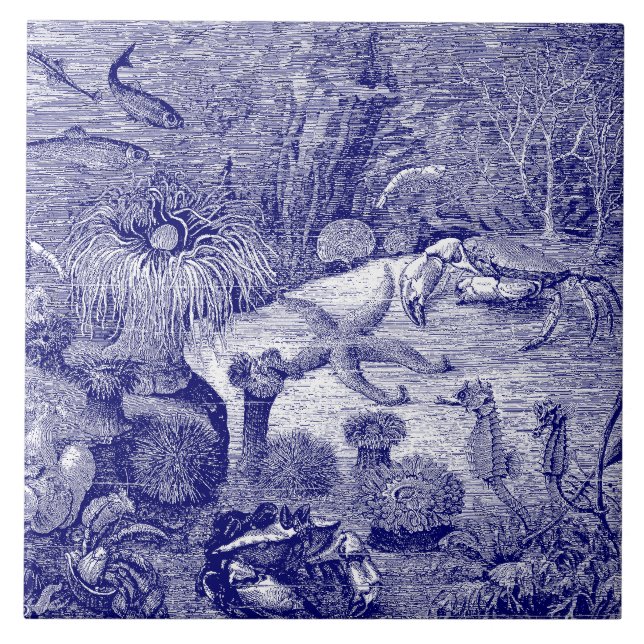 Carreau Ocean Marine Life bleu et blanc (Devant)