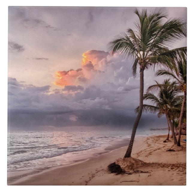 Carreau Ocean Waves Sandy Beach Sunset (Devant)
