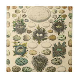 Carreau OEuf vintage Nid Art Peinture OEufs