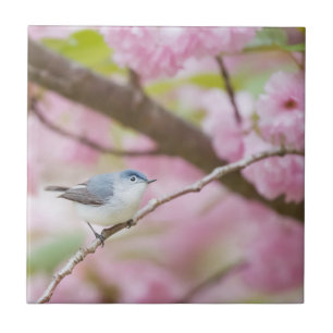 Carreau Oiseau dans l'arbre à fleurs roses