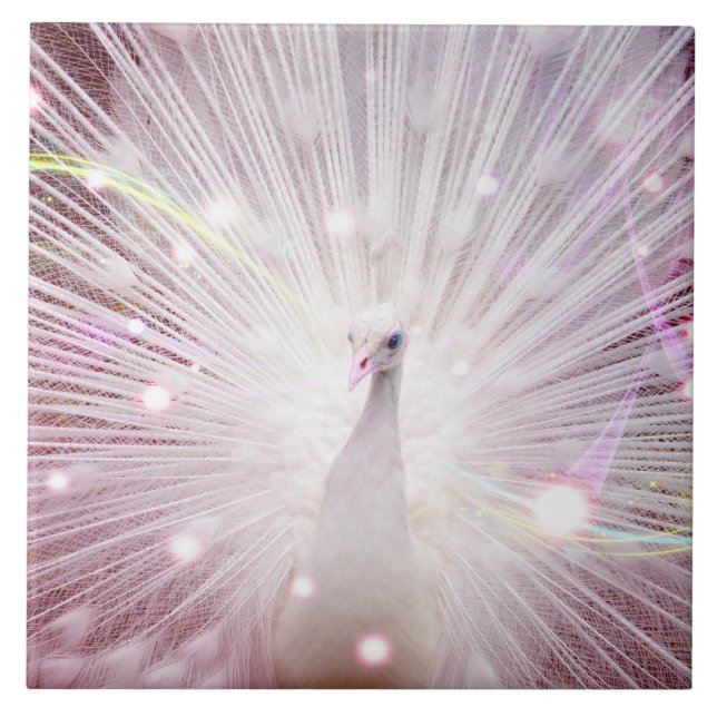 Carreau Oiseau de lWild de Beautifu (Devant)