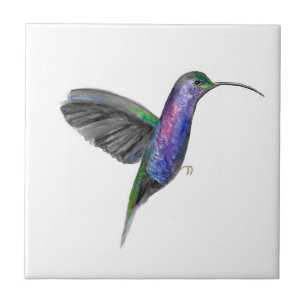 Carreau Oiseau de mer Aquarelle couleur couleur