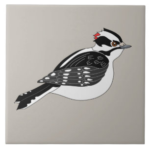 Carreau Oiseau de Pic Downy mâle à tête rouge