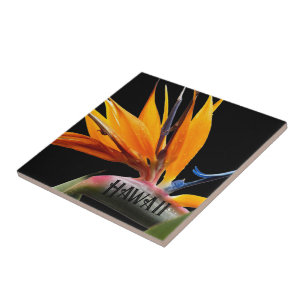 Carreau Oiseau du Paradis Fleur Plante Hawaï
