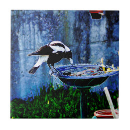 Carreau Oiseau potable
