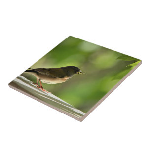 Carreau Oiseau sur fond de feuilles vertes