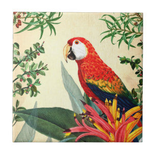 CARREAU OISEAU TROPICALE DE PARROT 8