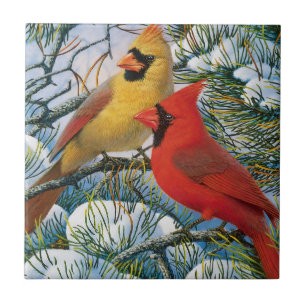 Carreau Oiseaux cardinaux rouges Céramique hivernale de n