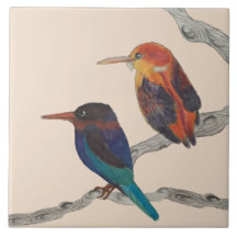 Oiseaux colorés sur un carrelage en céramique