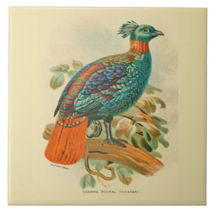 Carreau Oiseaux d'art vintage Illustration de faisan color