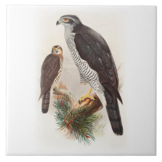 Carreau Oiseaux de John Gould d'autour de faune de la