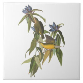 Carreau Oiseaux de John James Audubon