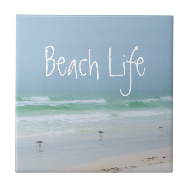 Carreau Oiseaux de mer bleu marine (Devant)