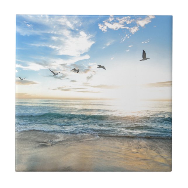Carreau oiseaux sur la plage (Devant)