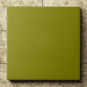 Carreau Olive Green Riche Terre riche Accent moderne