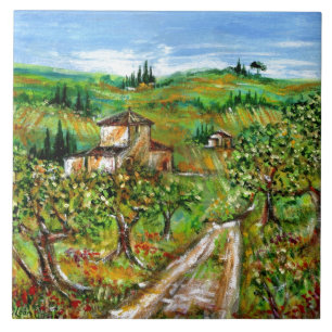 CARREAU OLIVIERS DANS LE PAYSAGE TOSCANE