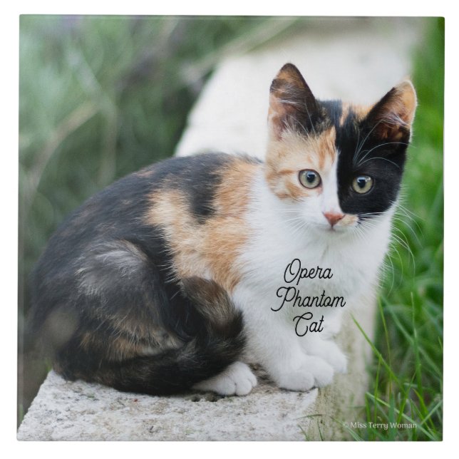 Carreau Opera Phantom Chat (Devant)