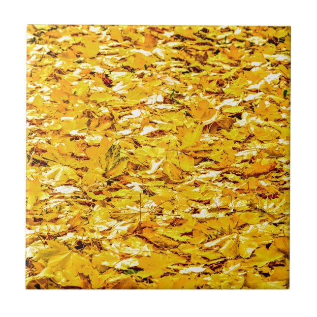 Carreau Or De L'Automne (Devant)