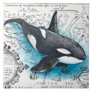 Carreau Orca Baleine Bleu Aquarelle Carte Nautique