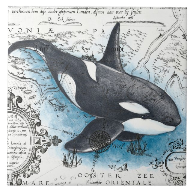 Carreau Orca Baleine Bleu Aquarelle Carte Nautique (Devant)