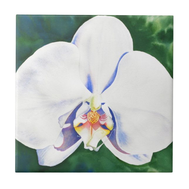 Carreau Orchidée blanche (Devant)