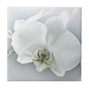 Carreau Orchidée blanche Phaleonopsis