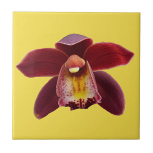 Carreau Orchidées de Maroon I Beau Floral Rouge