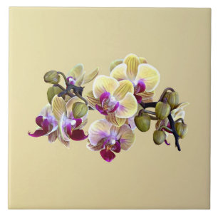Carreau Orchidées Pale Yellow et Magenta Phalaenopsis